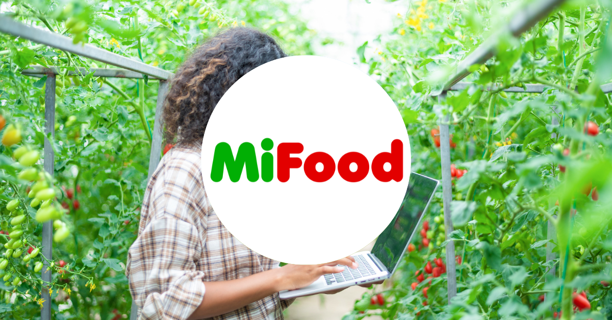 MiFood official blog featured image